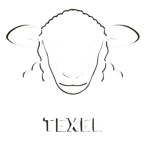 Texel