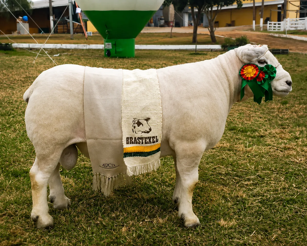 Amado 1249, pai do Lunardi Baú 34
